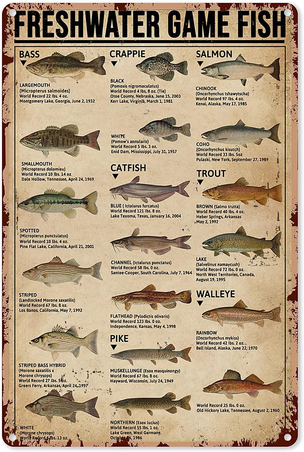 Home Decor Games Free - Y1, Poster Seni Memancing, Tanda Logam,