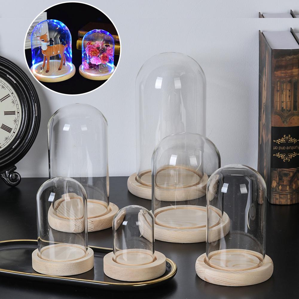 Home Decor Glass - Tanaman Hias Rumah, Terarium dalam Stoples,