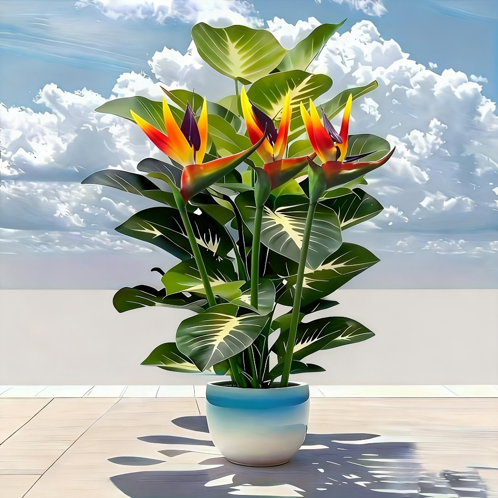 Home Decor Center - Tanaman Burung Cendrawasih dan Pothos Buatan