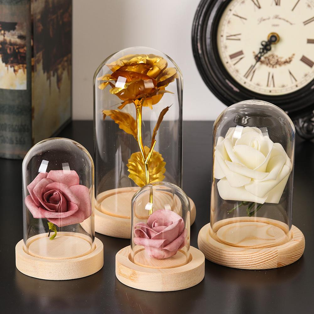 Tanaman Hias Rumah, Terarium d - Home Decor Glass ulasan dan harga