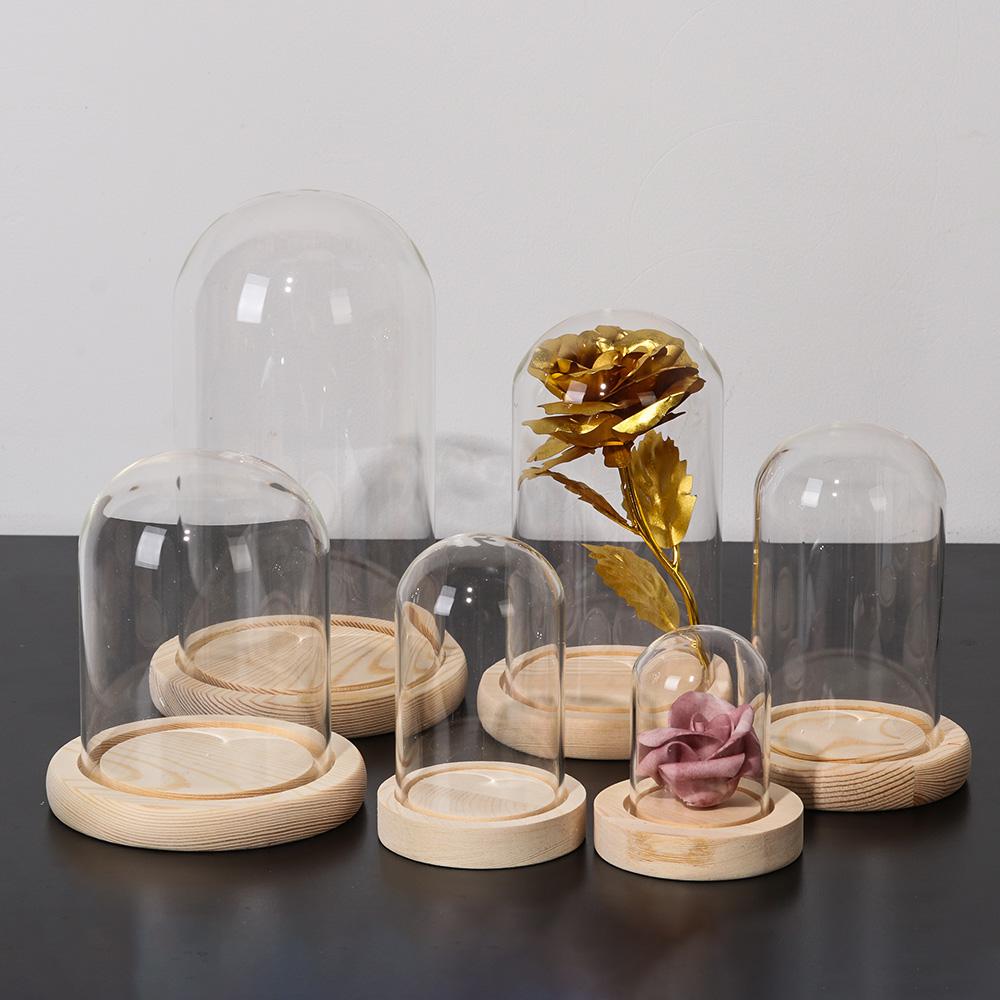 Tanaman Hias Rumah, Terarium d - Home Decor Glass ulasan dan harga