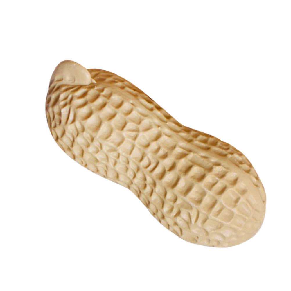 Ornamen Kacang Palsu Realistis - Home Decor Retail Stores ulasan dan harga